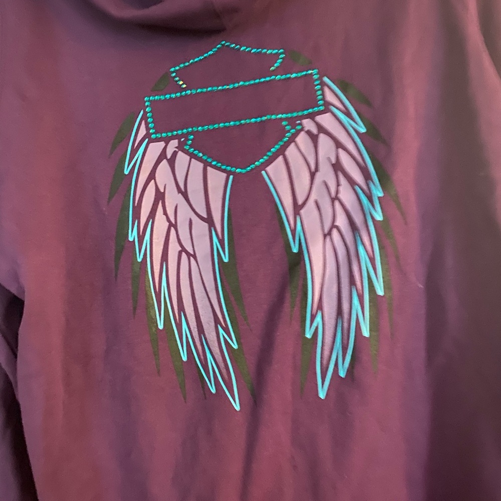 Beautiful cozy Harley Davidson hoodie